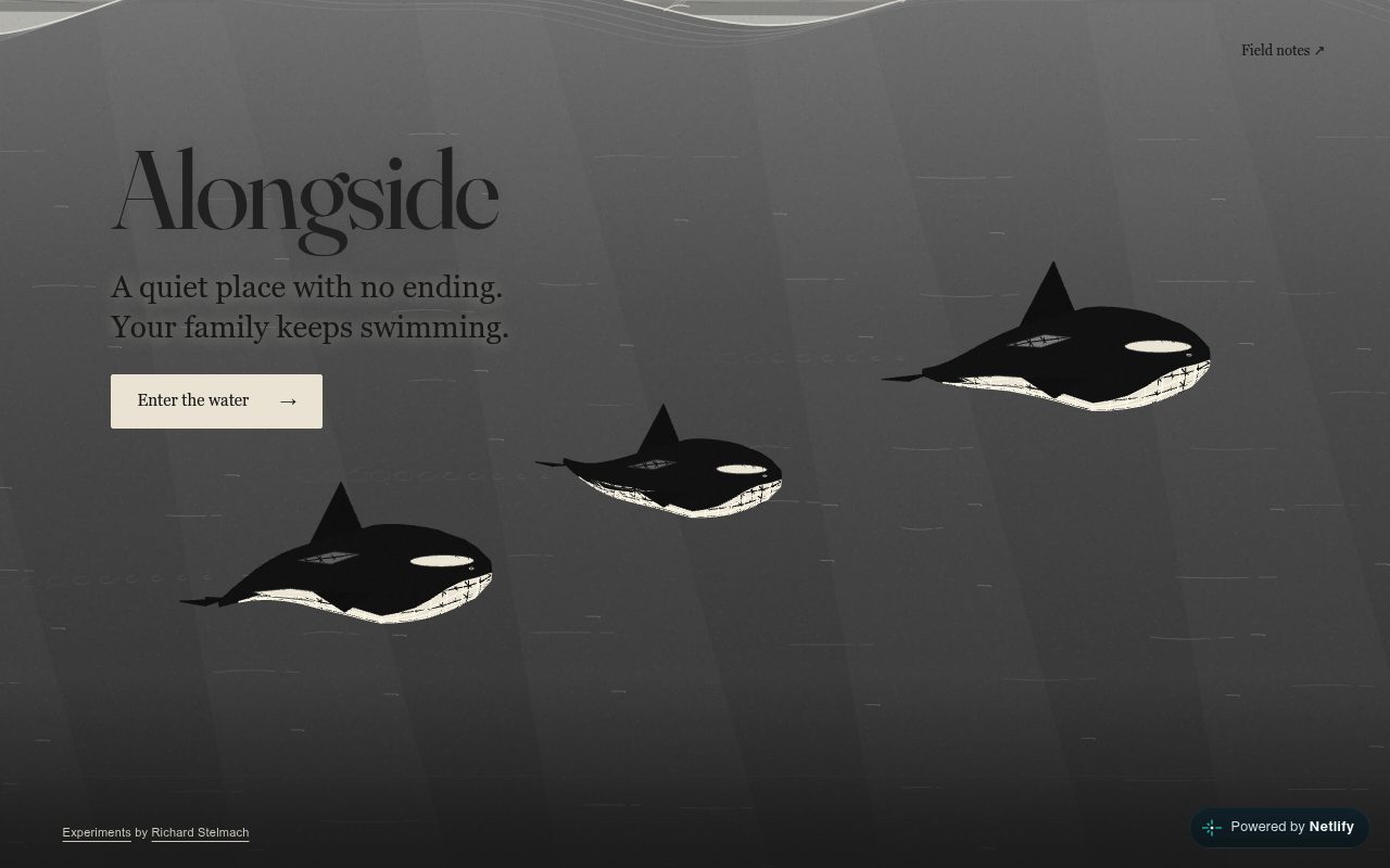 Screenshot of Alongside